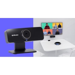 Lifesize Icon 300