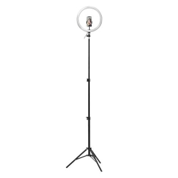 TNB INFLUENCE LED RING 12